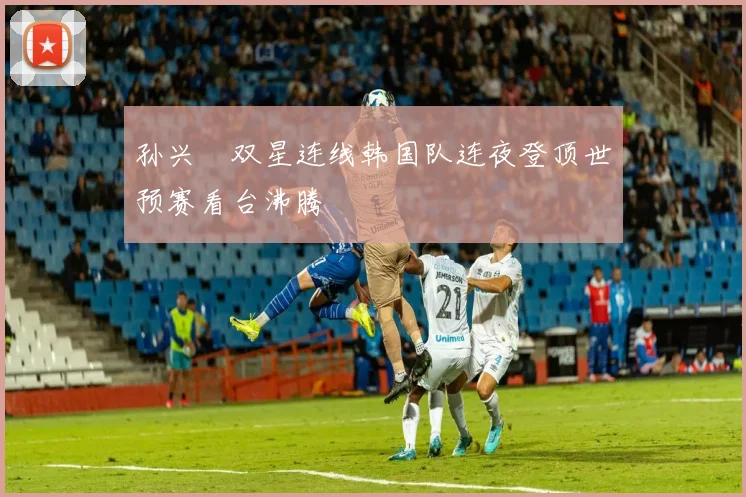 孙兴慜双星连线韩国队连夜登顶世预赛看台沸腾
