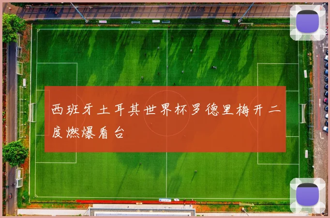 西班牙土耳其世界杯罗德里梅开二度燃爆看台