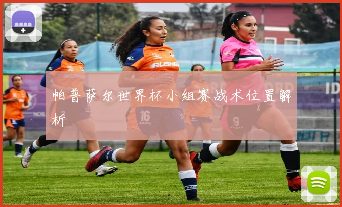帕普萨尔世界杯小组赛战术位置解析