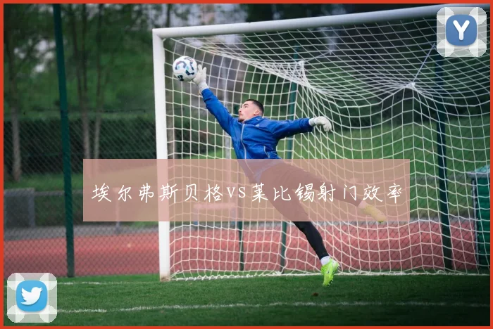 埃尔弗斯贝格vs莱比锡射门效率
