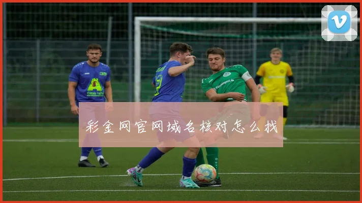 彩金网官网域名核对怎么找
