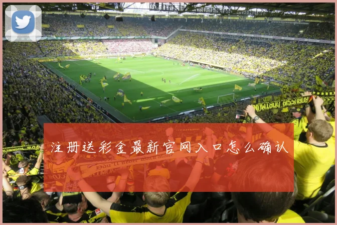 注册送彩金最新官网入口怎么确认